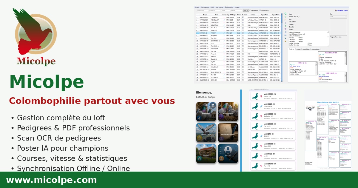 Tableau de bord Micolpe sur ordinateur